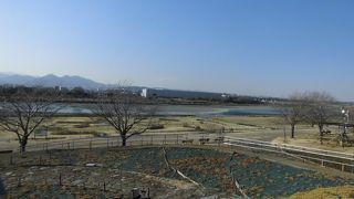 相模川と鳩川の合流地にある公園