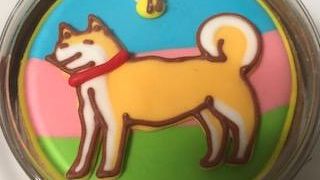 かわいいデコクッキー