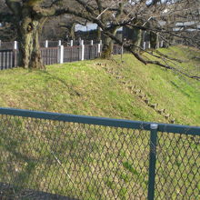 西側の濠の千鳥ヶ淵から田安門橋に続いている田安門の法面です。