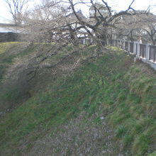 東側の濠の牛ヶ淵から田安門橋に続いている田安門の法面です。