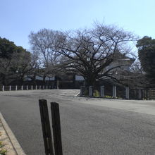 九段坂から田安門橋に至る舗装道路です。二股の西側部分です。