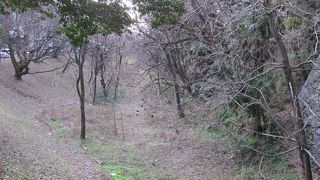 名古屋城外堀に架かる橋