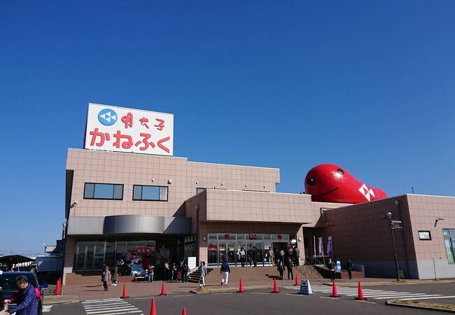 かねふくめんたいパーク大洗 クチコミ アクセス 営業時間 大洗 フォートラベル