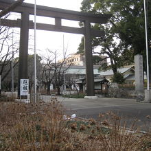 愛知護国神社鳥居