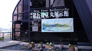 展示の意味を知りました