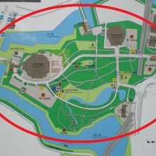北の丸公園の広大な園内です。国民公園になっています。