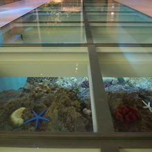 足下にサンゴ礁を見ながら、沖縄へ上陸するイメージを演出