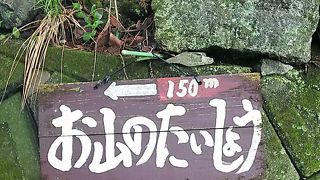 しいたけ狩りが出来ます。