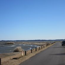 霞ヶ浦（西浦）の砂州に出来た公園（舗装された駐車場も有）