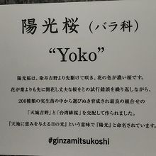 三越 晴海通り沿いです