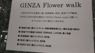 銀座でさくら見物(’-’*)♪