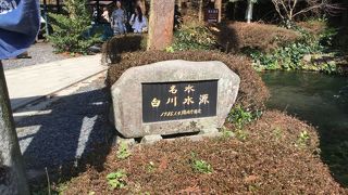 阿蘇のパワースポット「白川水源」の湧泉を見に    ☆熊本県阿蘇郡南阿蘇村