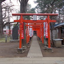 左側の古木です。