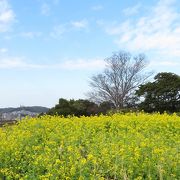 お花はもちろん、複合遊具がおススメ