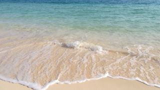 タイミングが合えば空に飛行機が飛んでいるのか見える