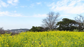 お花はもちろん、複合遊具がおススメ