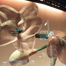 ふんわりピンク