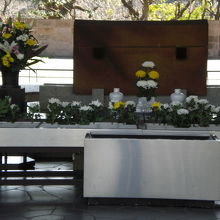 菊華の香に醸される慰霊の中、安らかな眠りについている御霊です