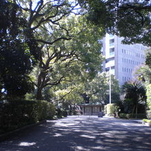 緑の樹々に囲まれた参道の央に、木漏れ陽が見守ってくれています