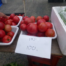 トマト一山１００円