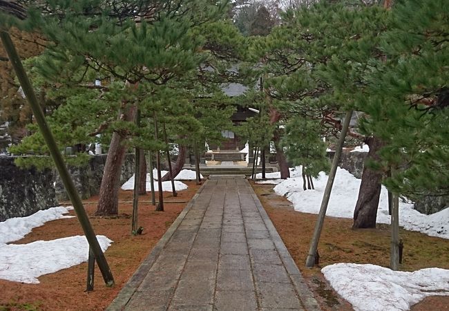 見所が多い寺