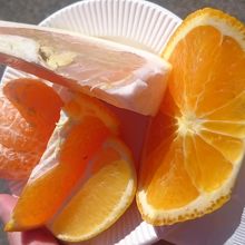 柑橘類を食べ比べ(^-^)