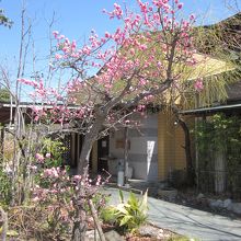 エントランスが好いですが？…