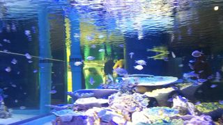 小さいけれど楽しめる