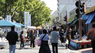 街全体がお祭りみたいな土佐の日曜市