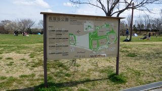 芝生広場で遊べる公園