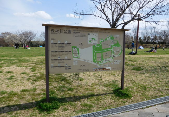 長坂谷公園 クチコミ アクセス 営業時間 港北 長津田 青葉 フォートラベル 長坂谷公園 クチコミ アクセス 営業時間 港北 長津田 青葉 フォートラベル