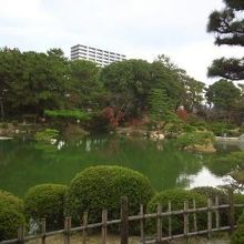 落ち着きます。