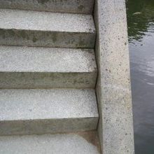 写真で伝わらないが、急なのです