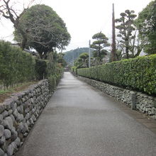 今も残る石垣や生垣～