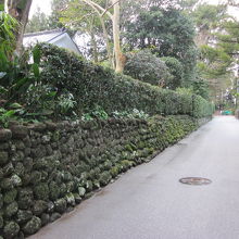 しっとりとした奥深い小道