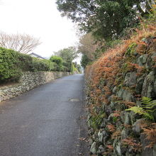 路地散策には持って来い！