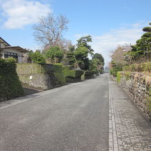 メイン通りの堅馬場通り～