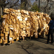 湯島天満宮には、受験合格、学業成就の絵馬が、数多く見られます