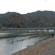 桂川の水面は夕闇迫る中、キラキラ輝いていました。