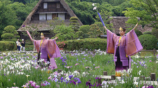 菖蒲園と動物園