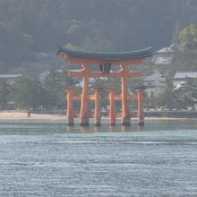 海に浮かぶ大鳥居