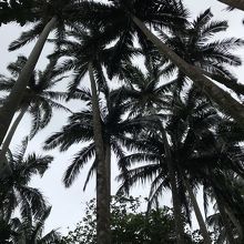 空を見上げると・・・