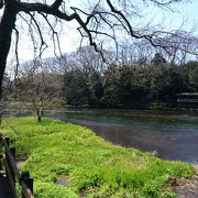 湧水だけでこの水量