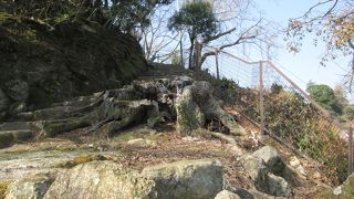 下層と上層の形が異なる塔