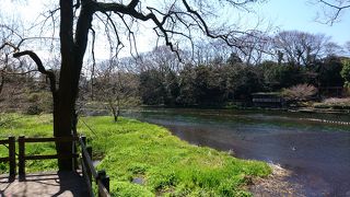 湧水だけでこの水量