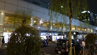 柳の木が並びます