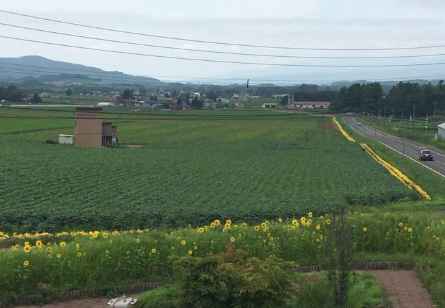 ”お花のみち”のような「フラワーパーキング (展望台)」～北海道・真狩村～