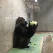 15時からはタロウの餌やり