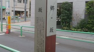 桜の季節は公園の桜がきれいです