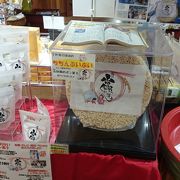 鯉のぼりがいるお店